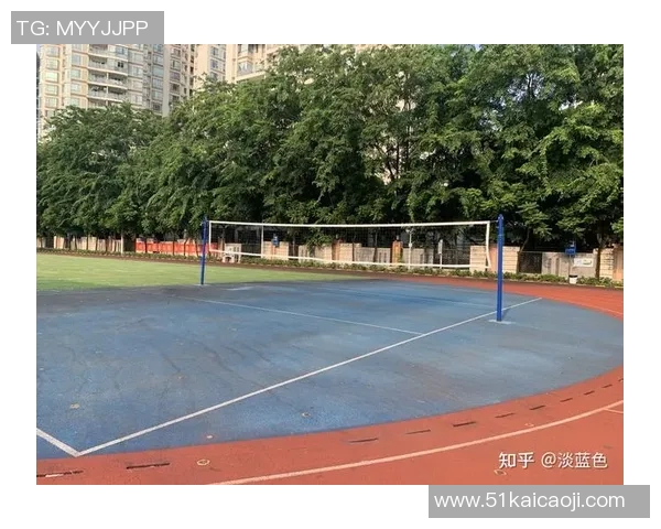 深圳排球队个人能力提升引发热议新变革的背后故事