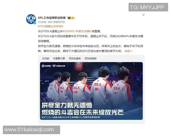 王者荣耀TES战队技术分析与战术创新深度探讨